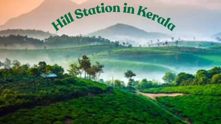 Hill Station in Kerala