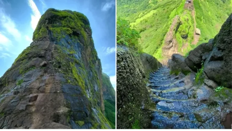Best Hill Station Near Nasik: